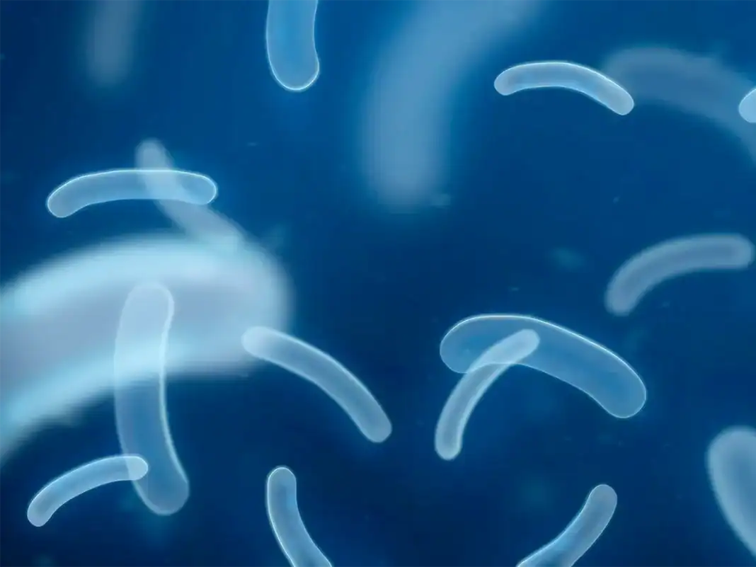 Alerte sanitaire : l’eau du sud de Mayotte déclarée impropre à la consommation