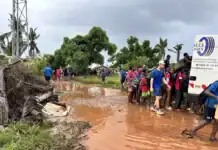 Cross académique de Mayotte 2025 : la pluie interrompt la fête, mais pas la bonne humeur Cross académique de Mayotte 2025 : la pluie interrompt la fête, mais pas la bonne humeur