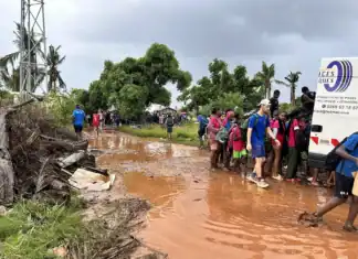 Cross académique de Mayotte 2025 : la pluie interrompt la fête, mais pas la bonne humeur Cross académique de Mayotte 2025 : la pluie interrompt la fête, mais pas la bonne humeur