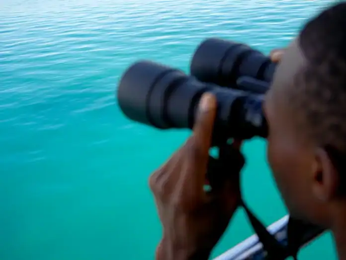 Formation « Devenir Observateur en Mer » à Mayotte