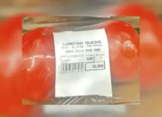 Des tomates à prix d’or à Mayotte Des tomates à prix d’or à Mayotte