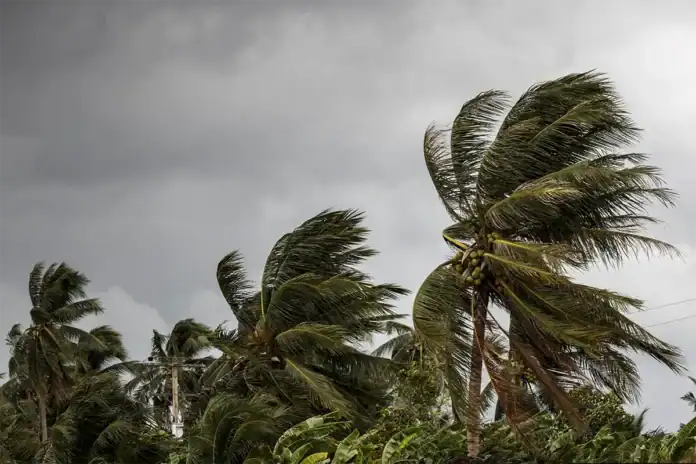 Un an après Chido « J’ai encore des flashs. C’est comme si le cyclone n’était jamais vraiment parti... »
