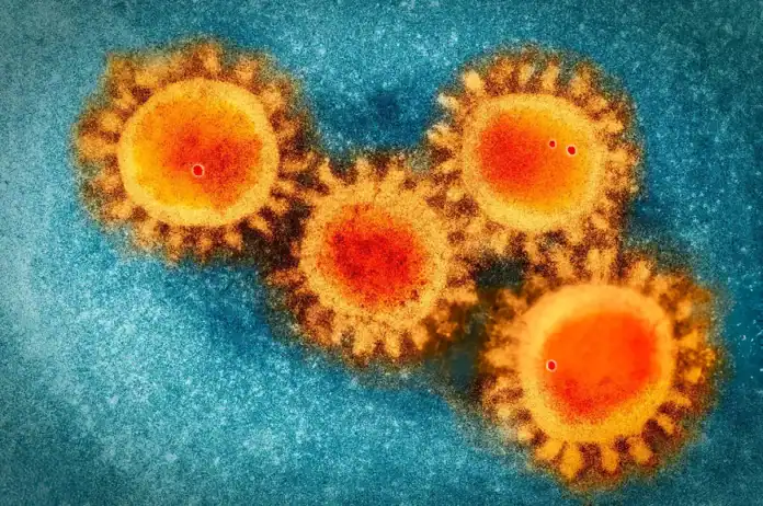 VIH et IST à Mayotte : une situation toujours préoccupante