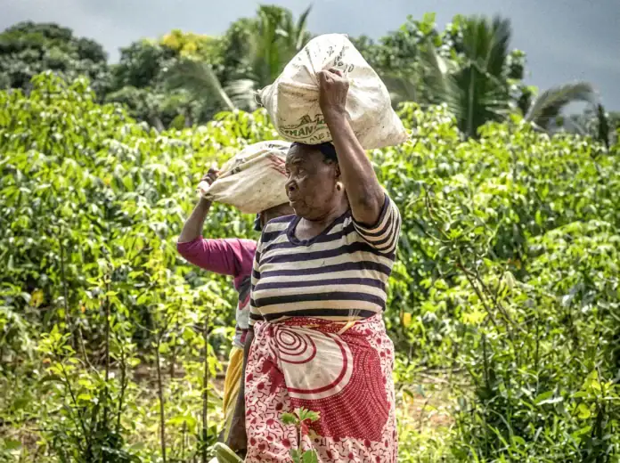 Café-débat sur la femme et l’agriculture à Mayotte Café-débat sur la femme et l’agriculture à Mayotte