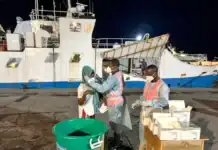 Comores : deux nouveaux cas suspects de Mpox identifiés à Anjouan Comores : deux nouveaux cas suspects de Mpox identifiés à Anjouan