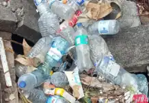 Des bouteilles plastiques et des rats en pagaille après les pluies à Mayotte Des bouteilles plastiques et des rats en pagaille après les pluies à Mayotte