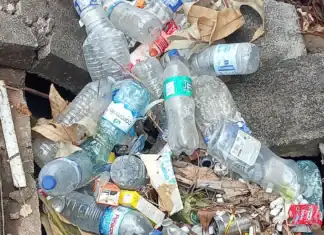 Des bouteilles plastiques et des rats en pagaille après les pluies à Mayotte Des bouteilles plastiques et des rats en pagaille après les pluies à Mayotte