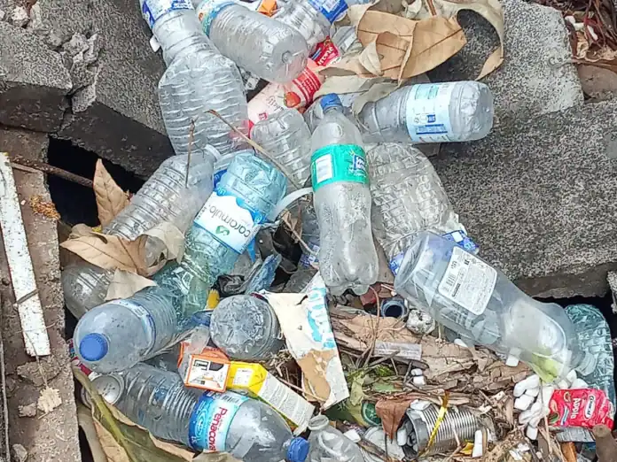 Des bouteilles plastiques et des rats en pagaille après les pluies à Mayotte