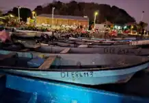 Financement de la pêche à Mayotte : « C’est un problème de manque de projets et non de fonds ! » Financement de la pêche à Mayotte : « C’est un problème de manque de projets et non de fonds ! »