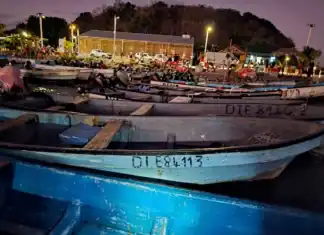 Financement de la pêche à Mayotte : « C’est un problème de manque de projets et non de fonds ! » Financement de la pêche à Mayotte : « C’est un problème de manque de projets et non de fonds ! »