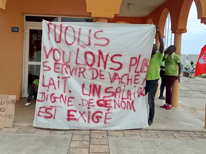 Grève des conducteurs de bus « Halo » : l’audit dont MATIS aurait pu se passer