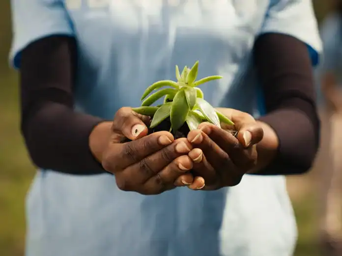 Petite-Terre : la CCPT mobilise les associations pour des actions environnementales concrètes