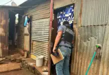 A M’Gombani, une opération du CODAF met au jour l’exploitation de familles précaires A M’Gombani, une opération du CODAF met au jour l’exploitation de familles précaires