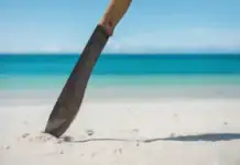 Agents de l’OFB agressés à Saziley : la justice réexamine l’affaire en appel Agents de l’OFB agressés à Saziley : la justice réexamine l’affaire en appel