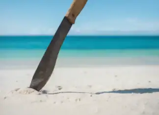 Agents de l’OFB agressés à Saziley : la justice réexamine l’affaire en appel Agents de l’OFB agressés à Saziley : la justice réexamine l’affaire en appel