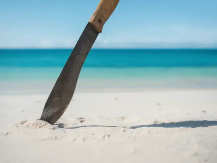 Agents de l’OFB agressés à Saziley : la justice réexamine l’affaire en appel