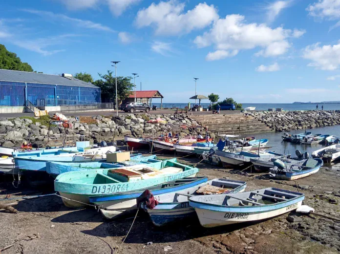 Les pêcheurs de Mayotte face à l’impasse administrative