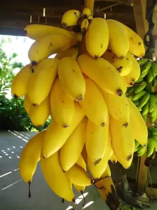 Ramadan 2026&nbsp;: est-il possible de consommer des produits frais &agrave; Mayotte&nbsp;?