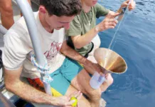 Des milliards de particules de micro plastiques tombent sur Mayotte chaque jour Des milliards de particules de micro plastiques tombent sur Mayotte chaque jour