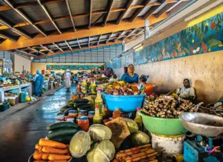 Formation des prix des produits : le coût du ticket de barge ne serait qu’un prétexte pour les commerçants. Formation des prix des produits : le coût du ticket de barge ne serait qu’un prétexte pour les commerçants.