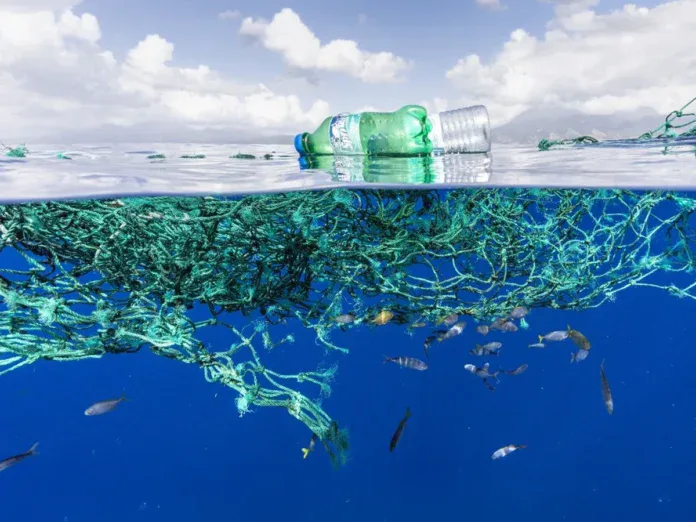 Micro-plastiques : une conférence pour comprendre la pollution invisible du lagon