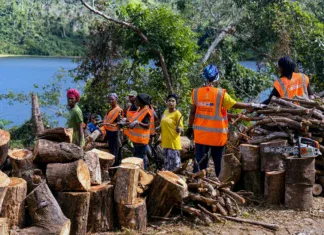 Nayma trace des chemins d’insertion entre urgence sociale et engagement environnemental Nayma trace des chemins d’insertion entre urgence sociale et engagement environnemental