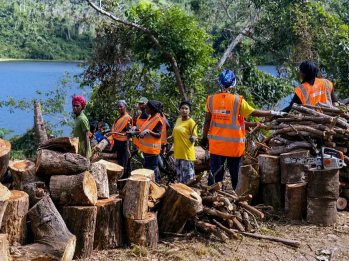 Nayma trace des chemins d’insertion entre urgence sociale et engagement environnemental