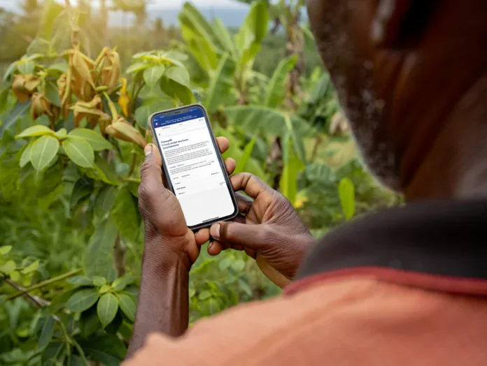 PAC 2026 : ouverture de la télé-déclaration à Mayotte le 1er avril