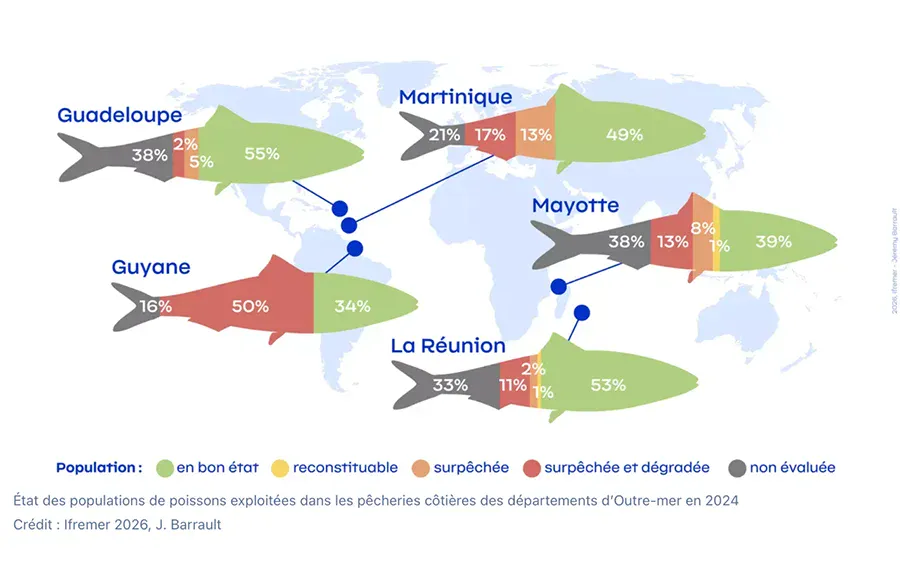 Pêche : des ressources encore mal connues des Mahorais