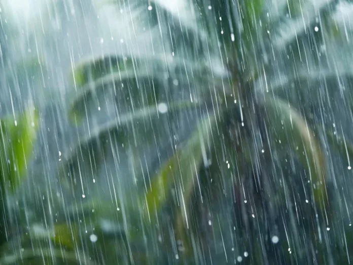 Plusieurs établissements scolaires perturbés à cause des fortes pluies