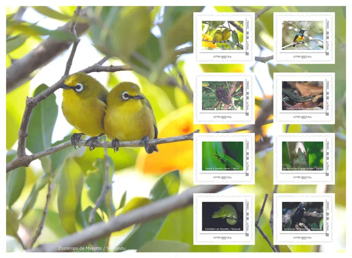 Un collector de timbres dédié à la faune endémique de Mayotte lancé à Combani