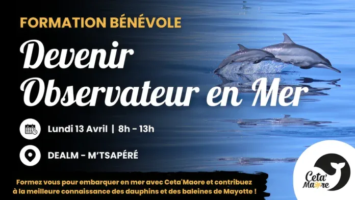 Une formation pour devenir observateur des mammifères marins
