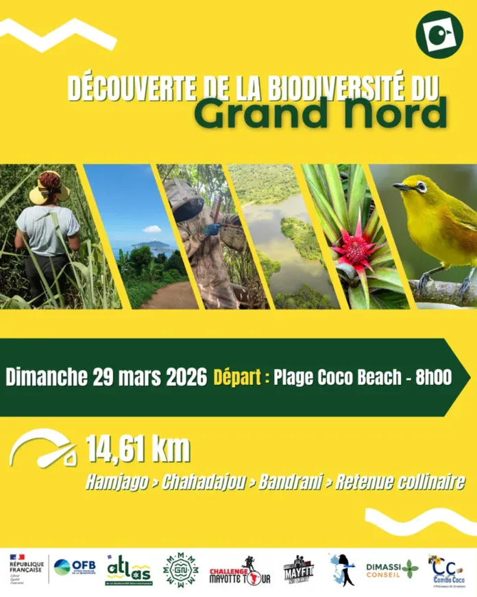 Une randonnée pour explorer la biodiversité du Grand Nord à Hamjago