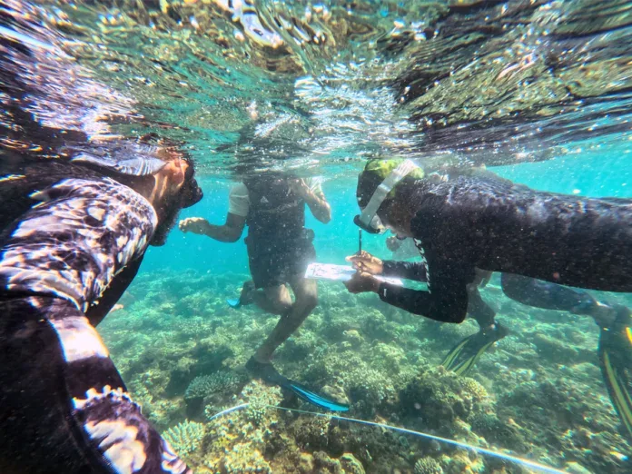 À Tahiti Plage, des élèves de Coconi plongent au cœur du récif corallien