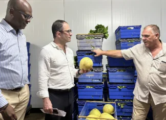 Benoît Hamon plaide pour une économie sociale et solidaire moteur de souveraineté Benoît Hamon plaide pour une économie sociale et solidaire moteur de souveraineté