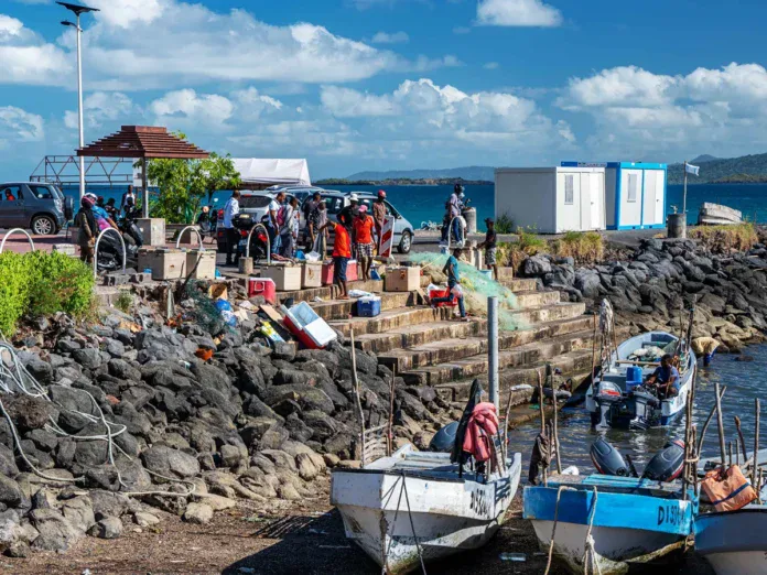 Ils bravent l’interdiction de vendre du poisson