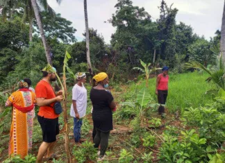 La course aux aides européennes devient un défi humain et numérique La course aux aides européennes devient un défi humain et numérique