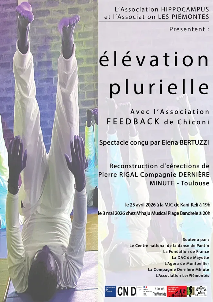 La danse contemporaine en quête de verticalité