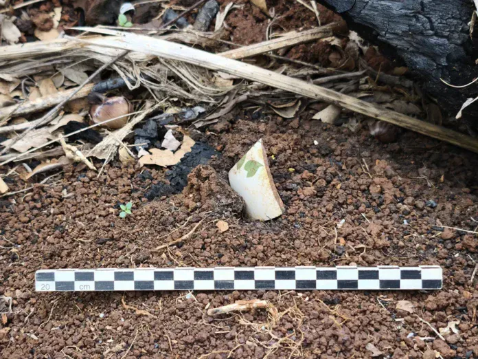 Archéologie : Les traces oubliées de Mayotte à l’époque médiévale