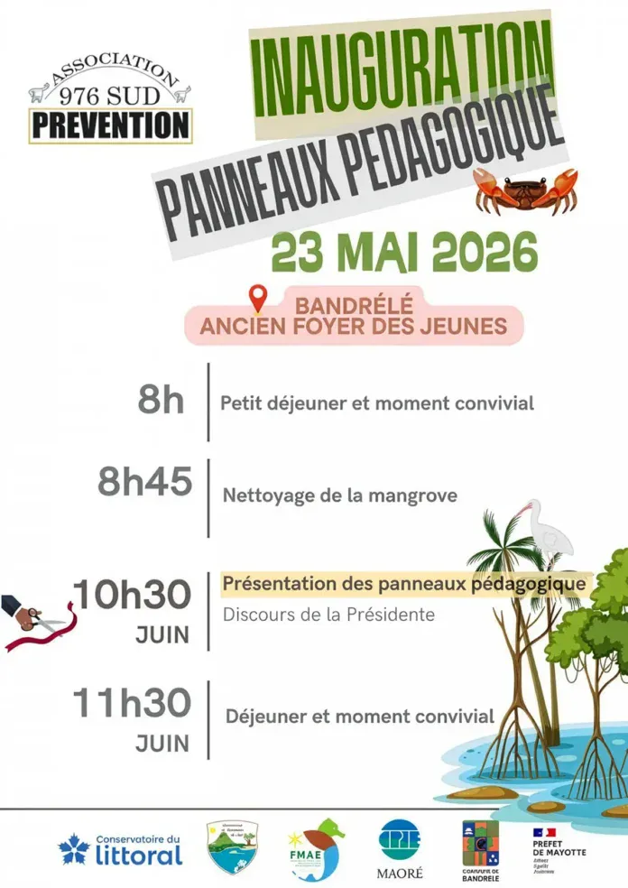 Bandrélé : la mangrove au cœur d’une mobilisation citoyenne