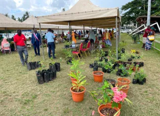 À Chirongui, l’Adie met à l’honneur les agriculteurs et l’entrepreneuriat féminin À Chirongui, l’Adie met à l’honneur les agriculteurs et l’entrepreneuriat féminin
