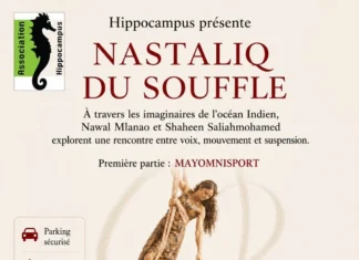 À Kaweni, « Nastaliq du souffle » fait dialoguer arts aériens et musiques de l’océan Indien À Kaweni, « Nastaliq du souffle » fait dialoguer arts aériens et musiques de l’océan Indien