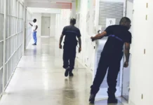 Centre pénitencier de Majicavo : malgré un futur établissement annoncé, la surpopulation carcérale reste hors de contrôle Centre pénitencier de Majicavo : malgré un futur établissement annoncé, la surpopulation carcérale reste hors de contrôle