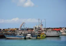 Comores : une loi déposée à l’Assemblée pour mettre de l’ordre dans le pavillon Comores : une loi déposée à l'Assemblée pour mettre de l'ordre dans le pavillon