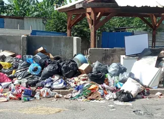 Gestion des déchets post-Chido : un rapport destiné aux parlementaires qui se fait désirer Gestion des déchets post-Chido : un rapport destiné aux parlementaires qui se fait désirer