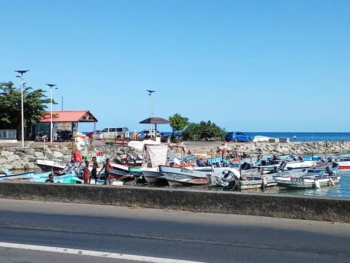 Immigration irrégulière à Mayotte : « Pour nous, la coupe est pleine à ras bord ! »