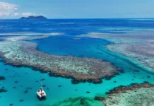 Lagon de Mayotte : l’État et la Fondation Aga Khan signent un accord de 8,5 millions d’euros Lagon de Mayotte : l'État et la Fondation Aga Khan signent un accord de 8,5 millions d'euros