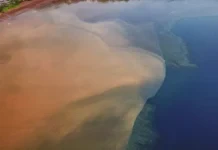L’ARS alerte sur les rejets d’eaux usées à Mayotte L'ARS alerte sur les rejets d'eaux usées à Mayotte