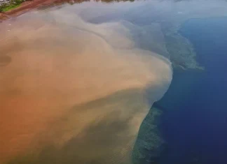L’ARS alerte sur les rejets d’eaux usées à Mayotte L'ARS alerte sur les rejets d'eaux usées à Mayotte