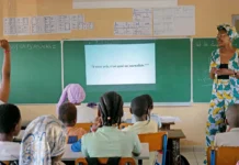 L’Effet Pelapelaka à l’école : apprendre à décrypter l’information L’Effet Pelapelaka à l’école : apprendre à décrypter l’information